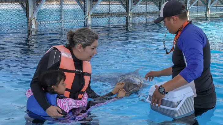 El DIF Sonora becará a más de 200 niños con terapias asistidas en el Delfinario