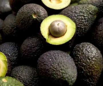 Aguacate: beneficios, vitaminas y calorías de este superalimento