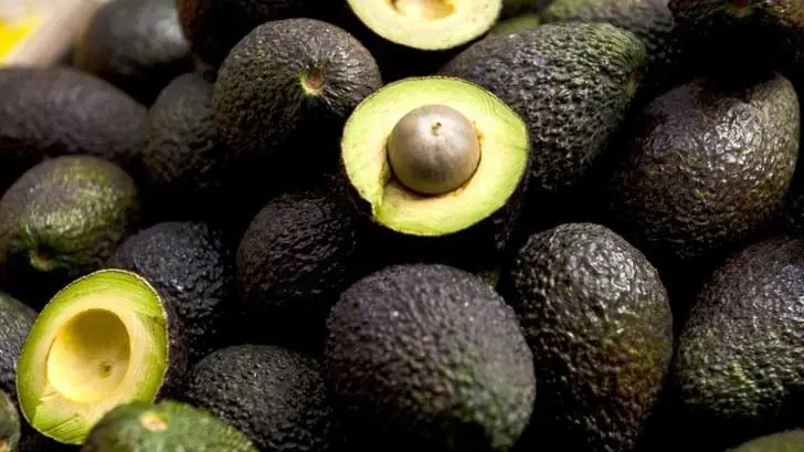 Beneficios del aguacate, vitaminas y calorías según Harvard. (Foto: Especial / EXPRESO)