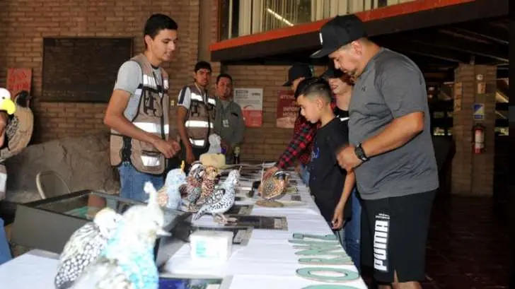 Sonora será sede del Centro de Educación para la Conservación de Aves