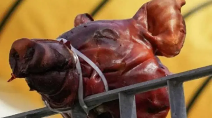 Cuelgan cabeza de cerdo en el asta bandera de la alcaldía de Naucalpan
