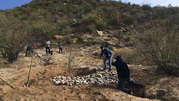 Emplean gaviones para evitar erosión del suelo en Cerro Johnson