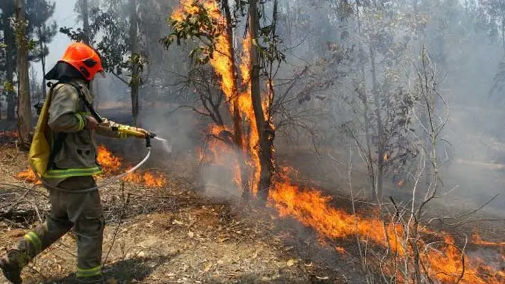 Registran 11 incendios forestales activos en Veracruz