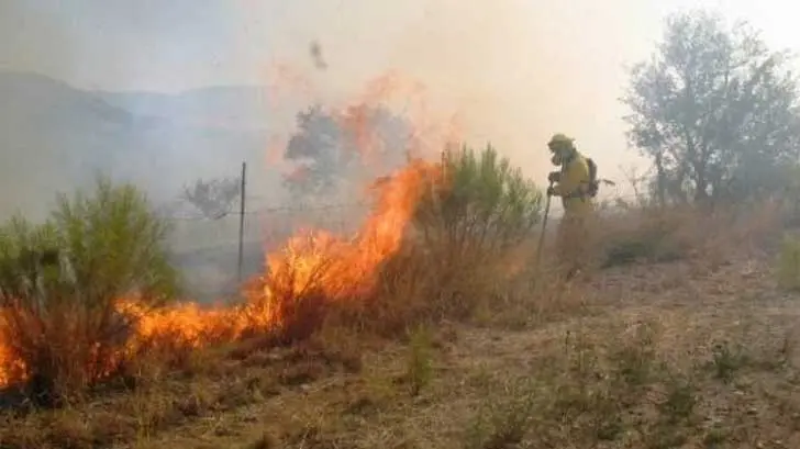La Conafor utiliza satélites para detectar incendio forestales