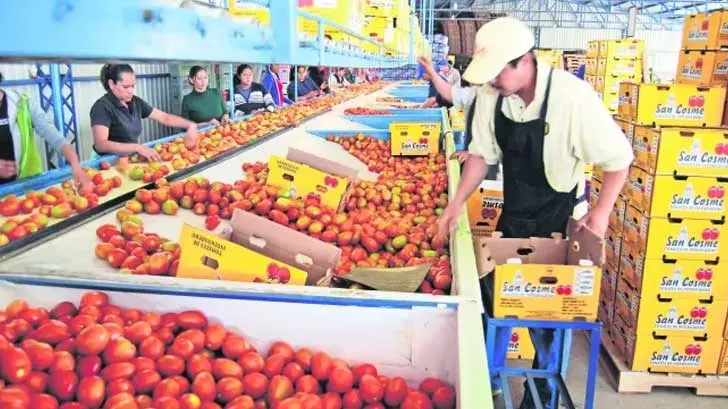 Decepciona a México que EU no quiso negociar acuerdo de jitomate