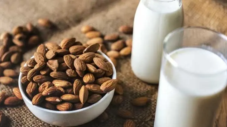Bebidas vegetales con poca proteína y más caras que la leche: Profeco