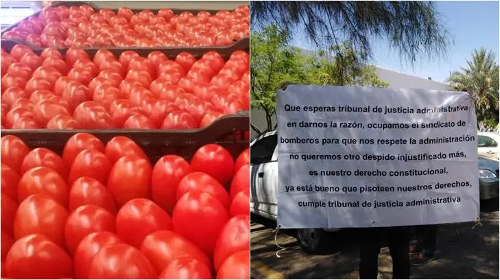 Arancel de EU al tomate pega más a Sinaloa y Bomberos de HMO quieren sindicato: Expreso 24/7