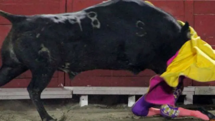 La torera Hilda Tenorio tiene más lesiones de lo que se esperaba