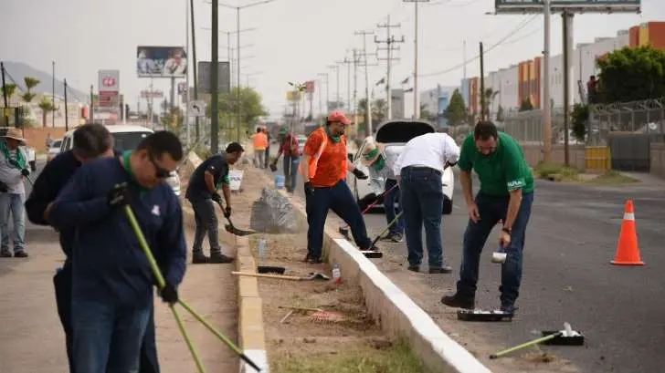 Contingencia pone trabas a programa Adopta un Camellón
