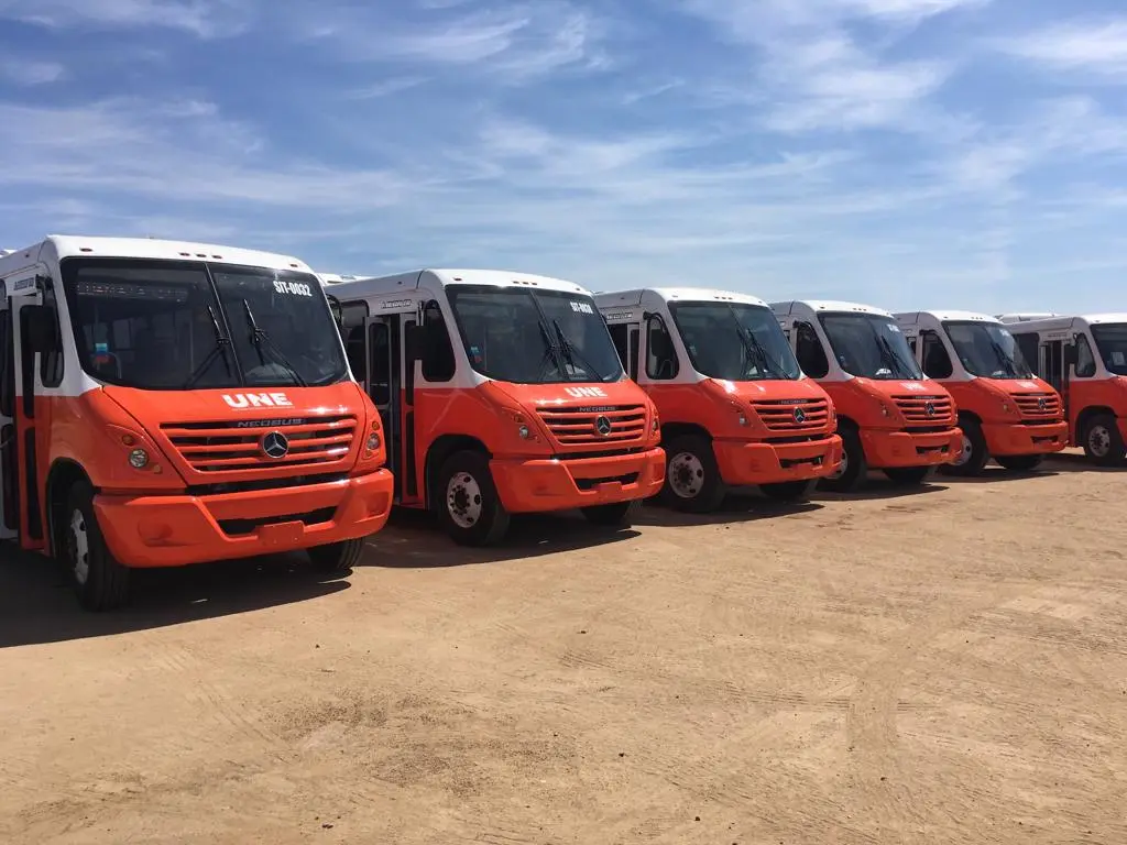 AUDIO | Doce nuevas unidades de transporte operarán a partir de la próxima semana