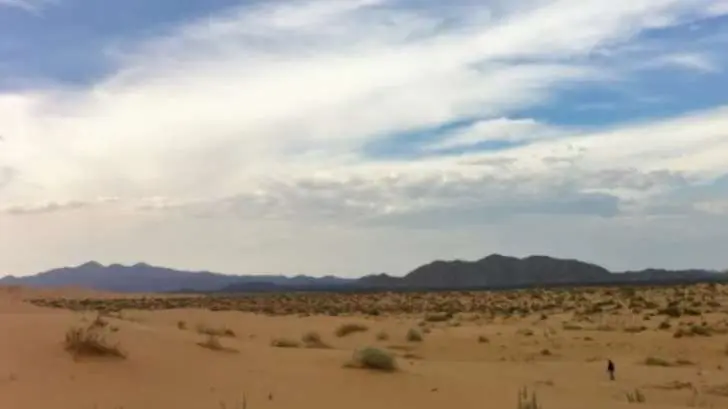 Muere niña migrante en el desierto entre Sonora y Arizona