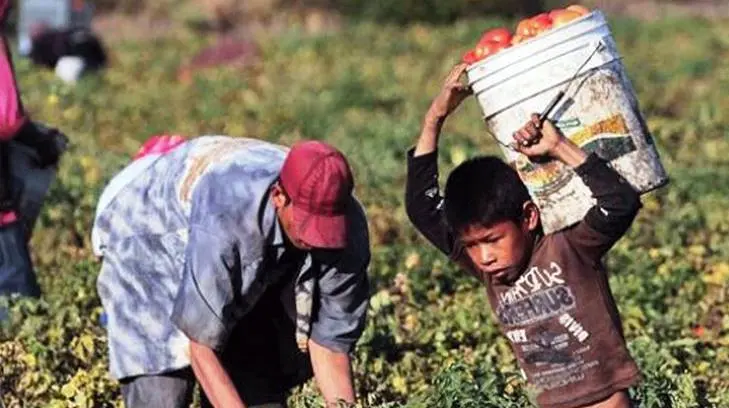 La ONU estima que hay en el mundo 152 millones de niños, niñas y adolescentes que trabajan
