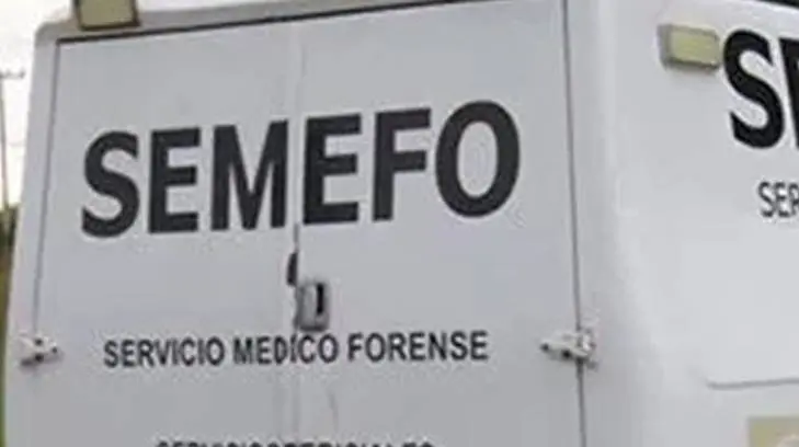 Hallan osamenta humana en un arroyo de San Carlos, Nuevo Guaymas