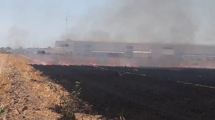AUDIO | Etchojoa pide intervengan autoridades federales para frenar quema de gavilla