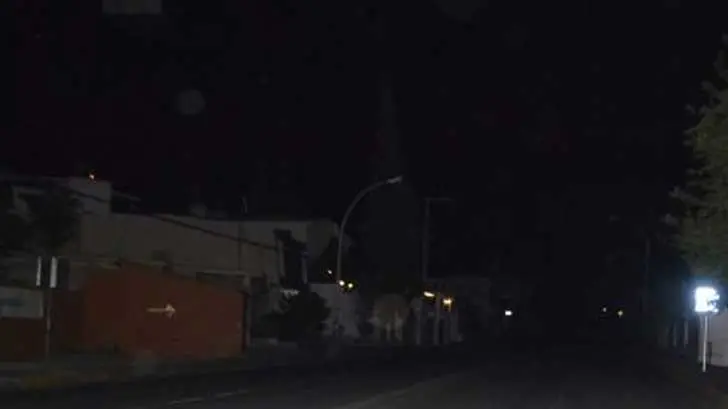 Decenas de colonias se quedan sin luz en BCS por altas temperaturas