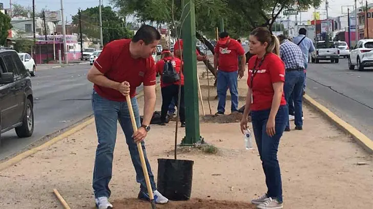 AUDIO | Plantan mezquites en camellón del bulevar Solidaridad