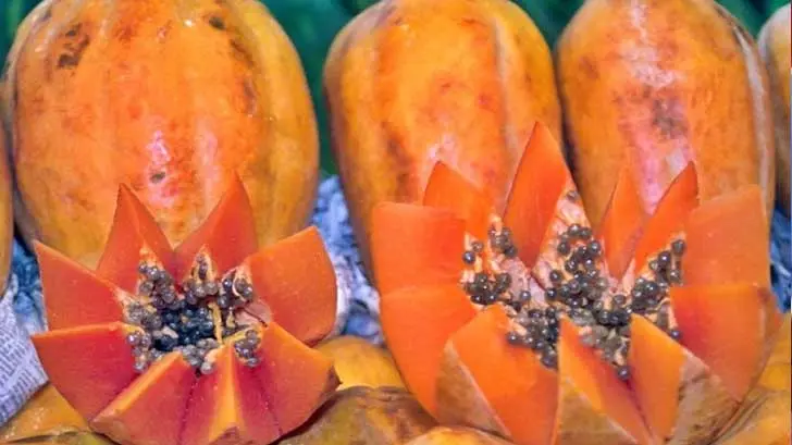 Estados Unidos revoca alerta sobre consumo de papaya mexicana