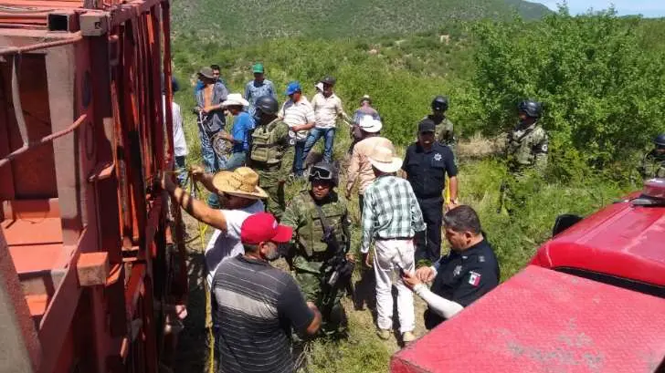 Vuelca tráiler que transportaba cerditos sobre la carretera Ures-HMO; reportan actos de rapiña