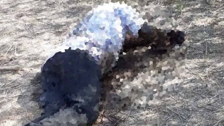 Hallan un cuerpo en estado de descomposición en Guaymas