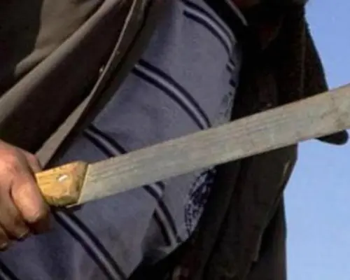 Detienen a dos adolescentes armados con machetes en Fuente de Piedra