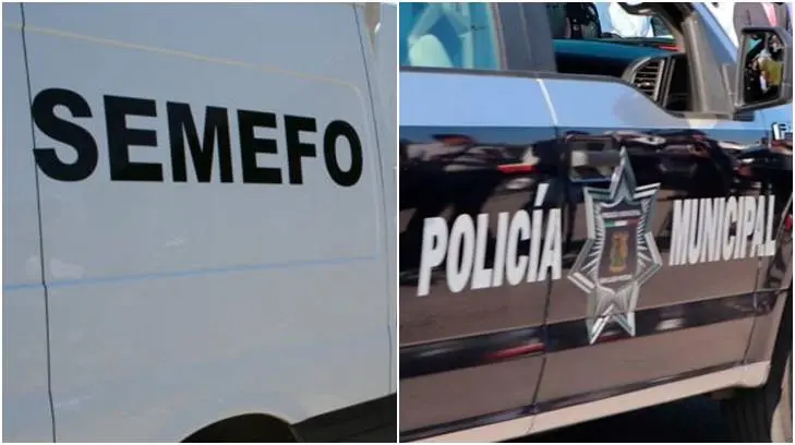 Hallan 3 personas muertas al sur de Nogales y 2 más en Cajeme: Expreso 24/7
