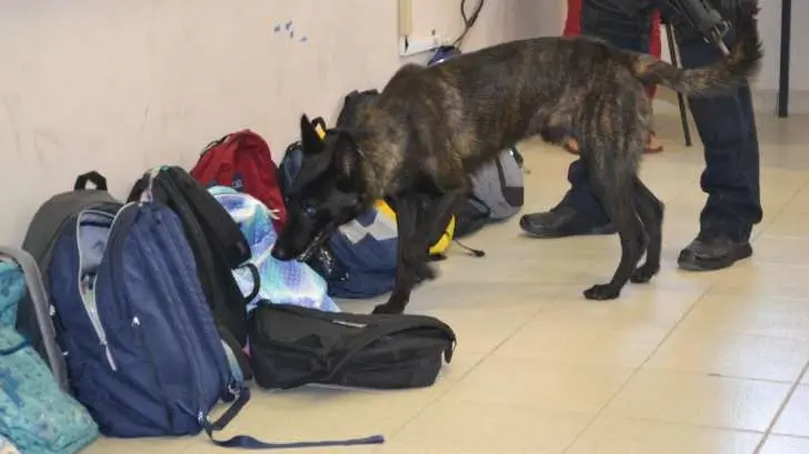 AUDIO | Detectan artículos prohibidos durante el ‘Operativo Mochila’ en Nogales