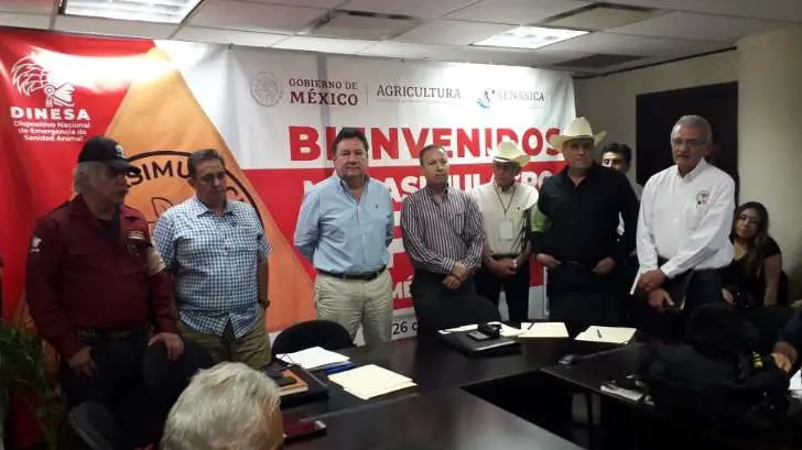 VIDEO | El Senasica realiza un megasimulacro de la Peste Porcina Africana en HMO