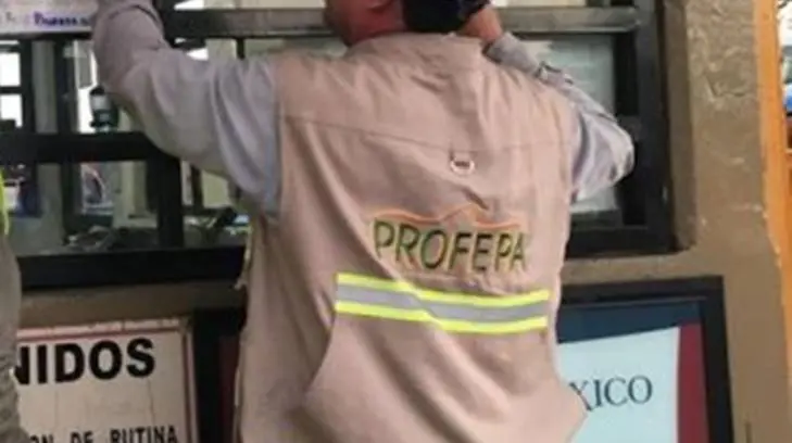 La Profepa ha duplicado este año el número de revisiones en Sonora con respecto a 2018