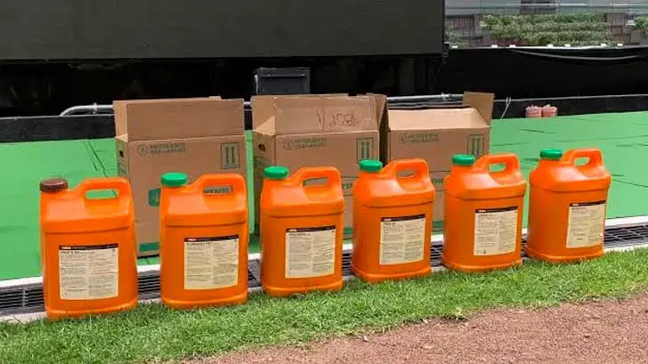 Riegan con jugo de naranja la cancha del Estadio Azteca