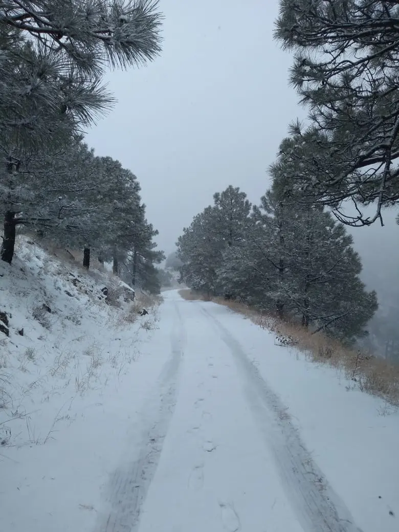 Cayó la primera nevada en Cananea y así reaccionó Twitter