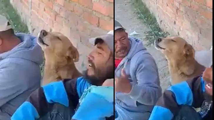 Perrito ‘canta’ canción de Los Temerarios e impresiona a internautas