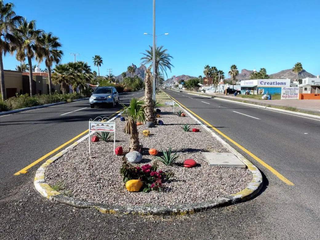 Residentes de San Carlos dan mantenimiento a camellones