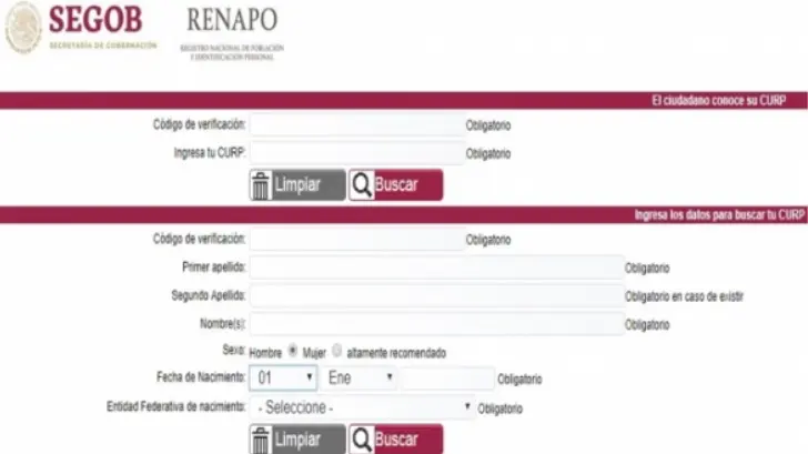 Admiten error al imprimir CURP; se arreglaría la siguiente semana