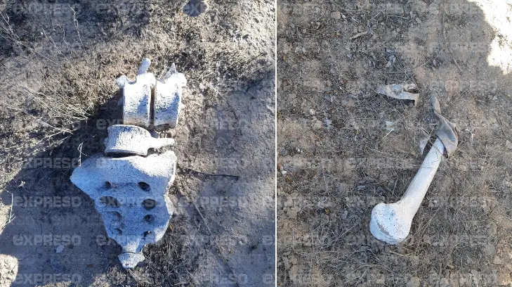 Macabro hallazgo de cuatro osamentas en Bahía de Kino