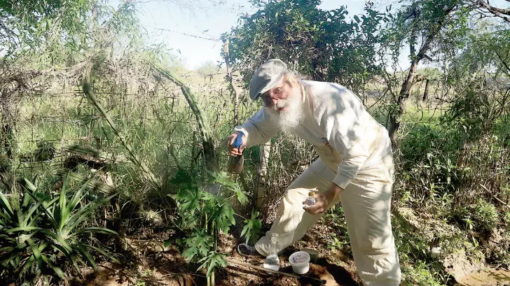 Vive al natural con armonía