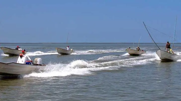 Temen por más ataques de tiburón en Yavaros