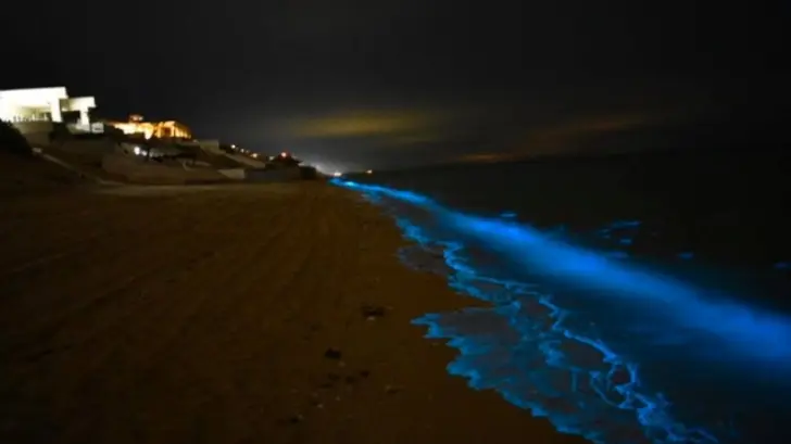 No es inusual. Es fantástico, captan efecto de bioluminiscencia en Puerto Peñasco