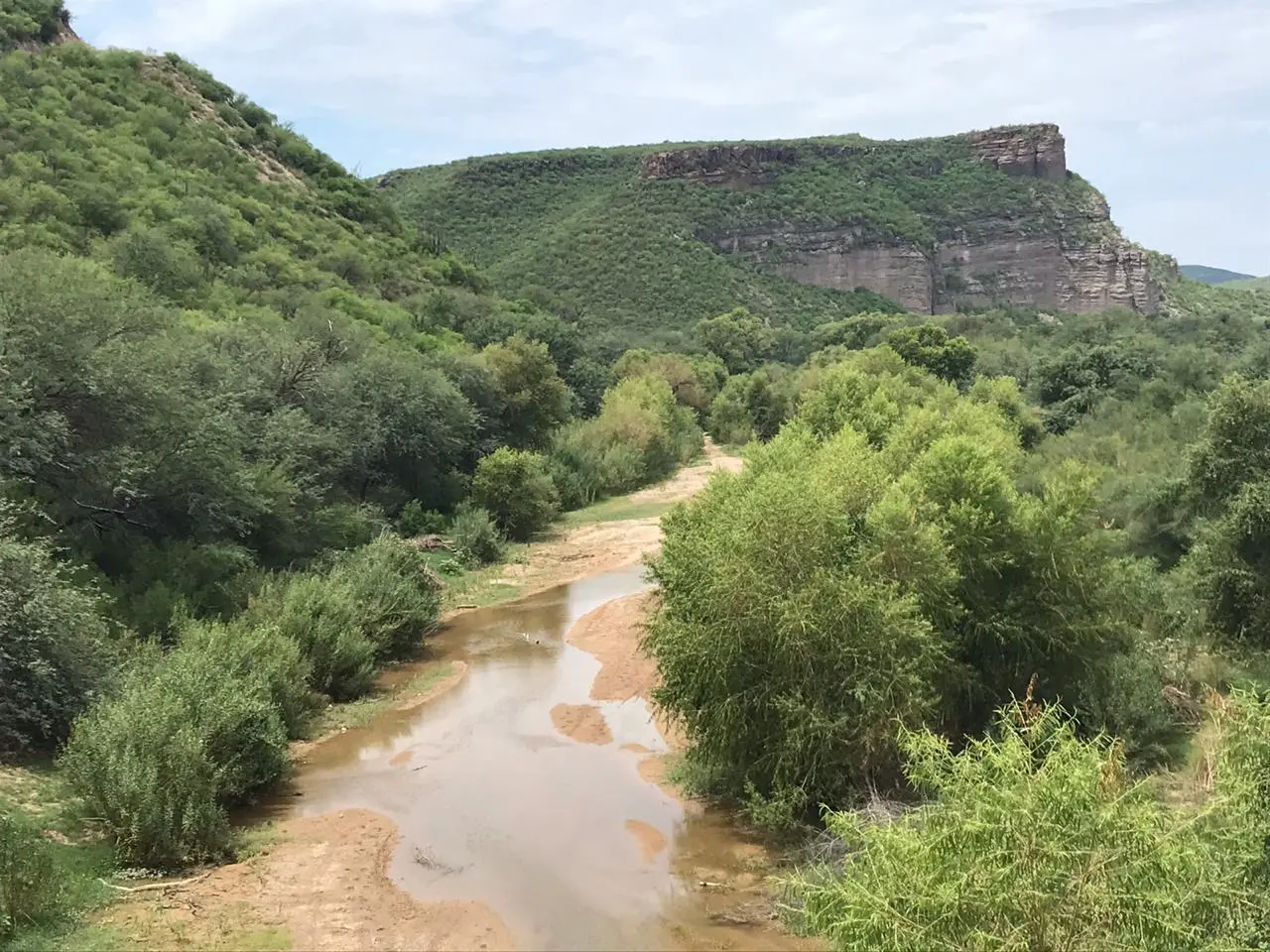 SCJN resuelve amparo a favor del Río Sonora y en contra de Grupo México