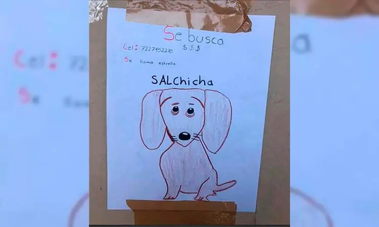 Busca a su perrita; la dibuja en cartel