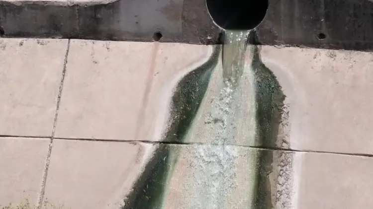 Foto: Eduardo Ruiz / EXPRESO 