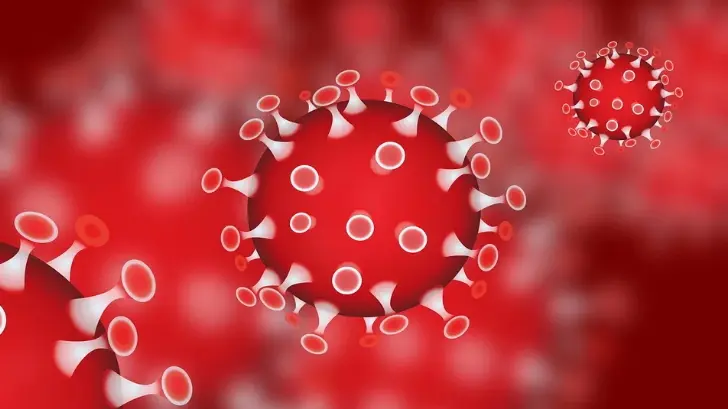 Madrid pide apoyo económico para luchar contra coronavirus