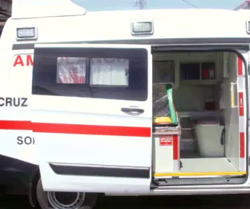Muere adulto mayor tras ser atacado por un enjambre de abejas en Etchojoa