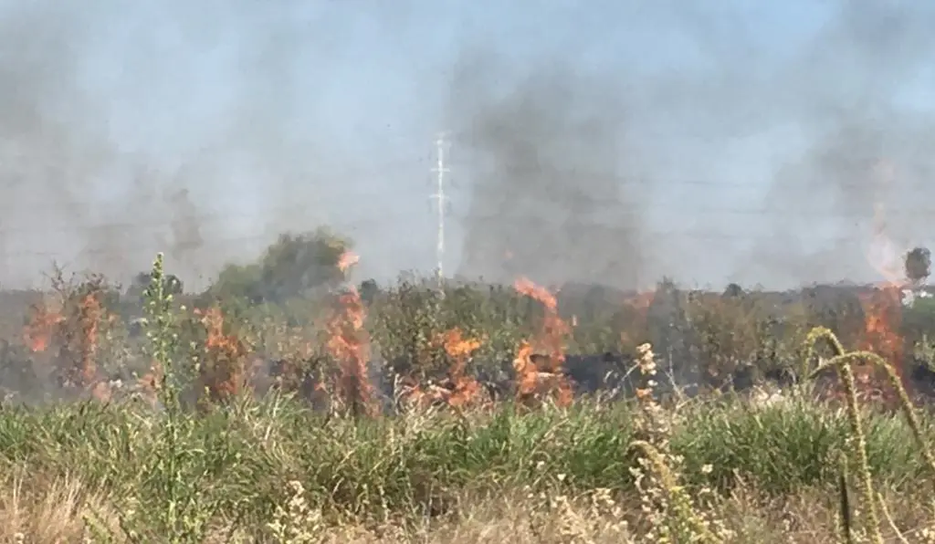 Huatabampo registra 12 incendios de maleza en dos días