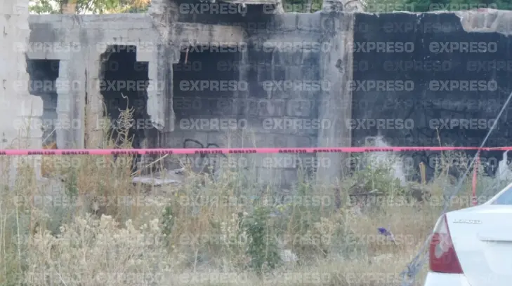 Hallan muerto a adulto mayor en un lote baldío