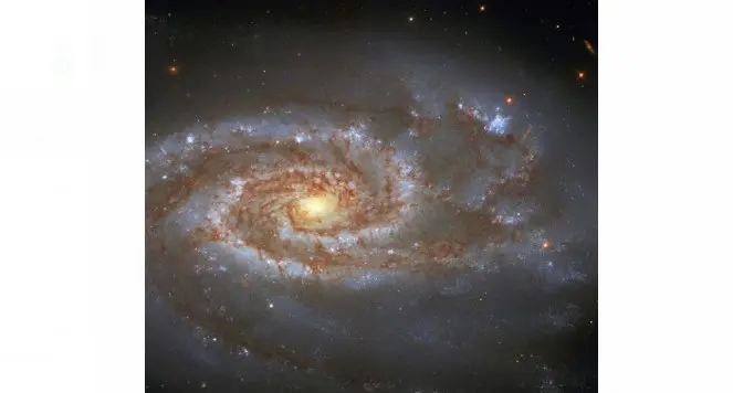 Descubre NASA posible universo paralelo