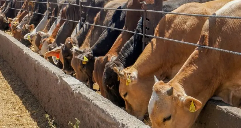 Prevé UGRS exportación récord a EU