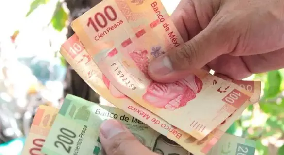 Pocas empresas hacen entrega de utilidades: especialistas