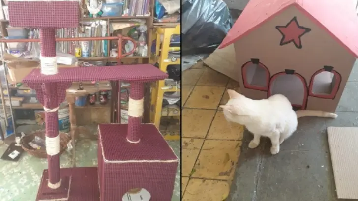 Por Covid-19, escenógrafo sonorense ahora elabora casas para mascotas