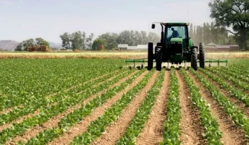 ¿Eres agricultor y recibes subsidio de electricidad de la Sader? Es hora de renovarlo