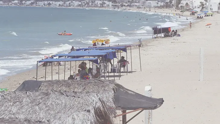 Vuelven carperos a playas de Kino